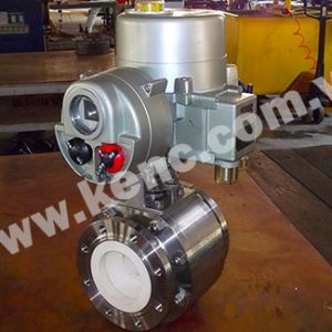 van-bi-gom-gan-trunnion-01